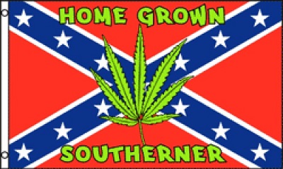 3'x5' REBEL Flag with Leaf [Home Grown Southern]